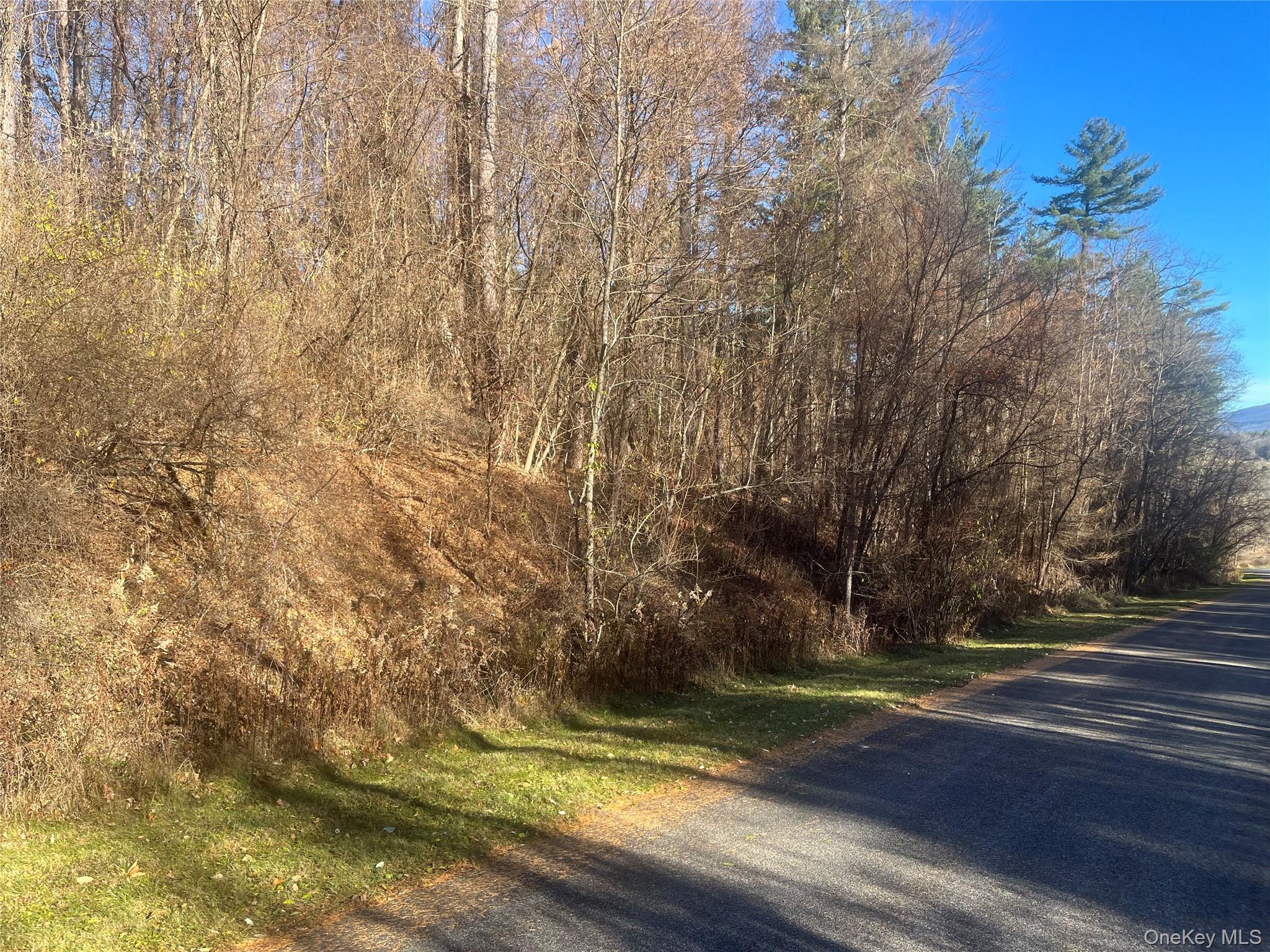 12 Pioneert, Copake, NY 12516