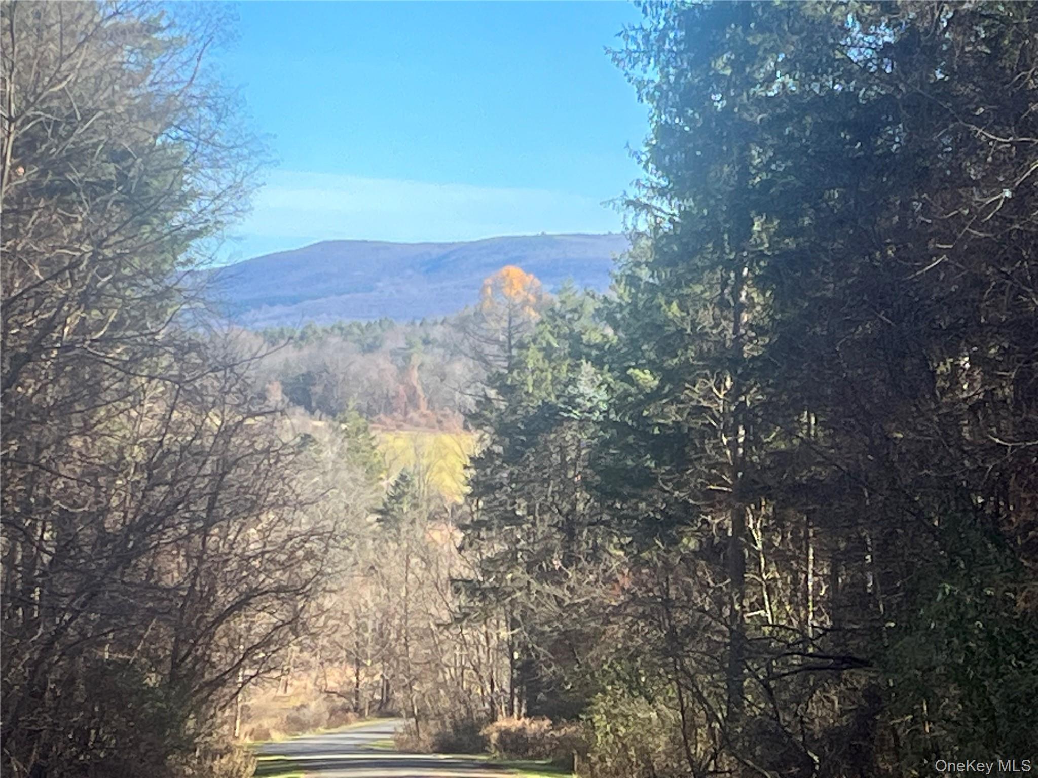 12 Pioneert, Copake, NY 12516