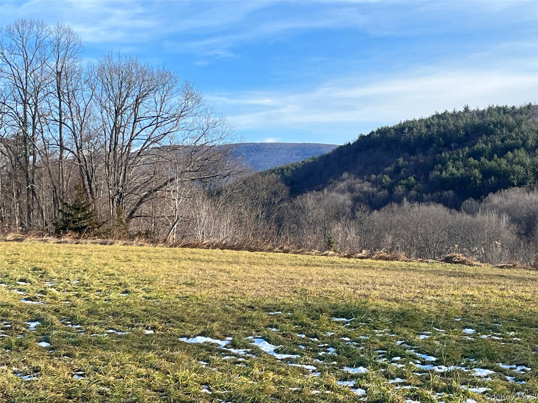 12 Pioneert, Copake, NY 12516