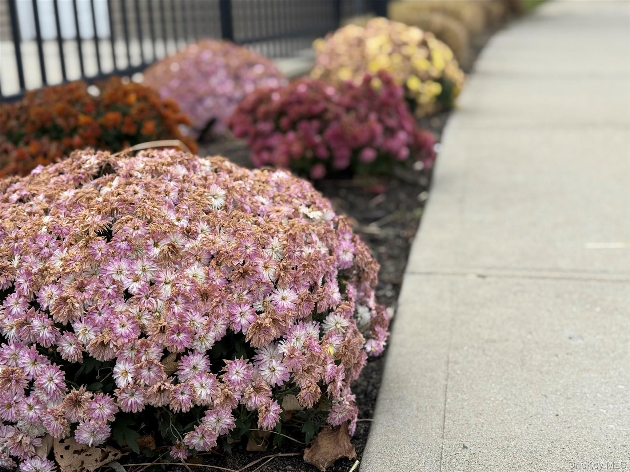 138 Weatherby Lane, Central Islip, NY 11722