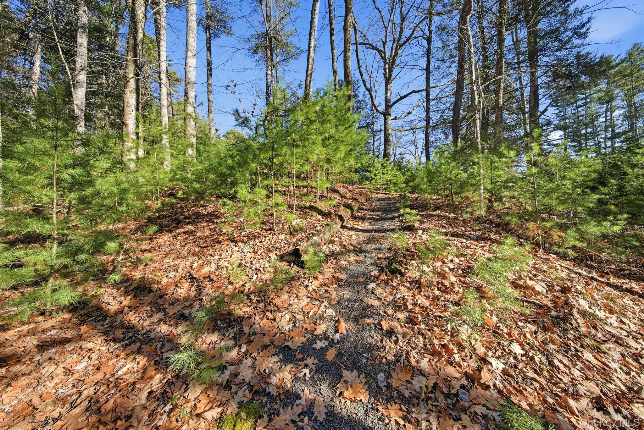 136 Yulan Barryville Road, Barryville, NY 12719