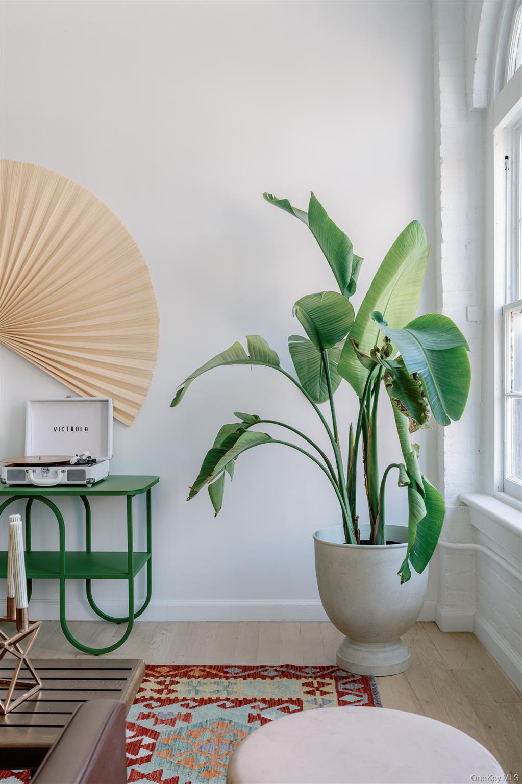 155 River Street # Basement B, Troy, NY 12180