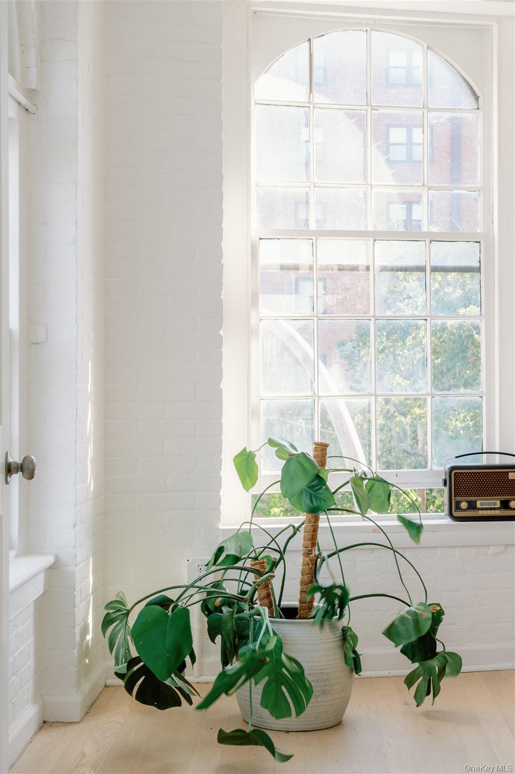 155 River Street # Basement B, Troy, NY 12180