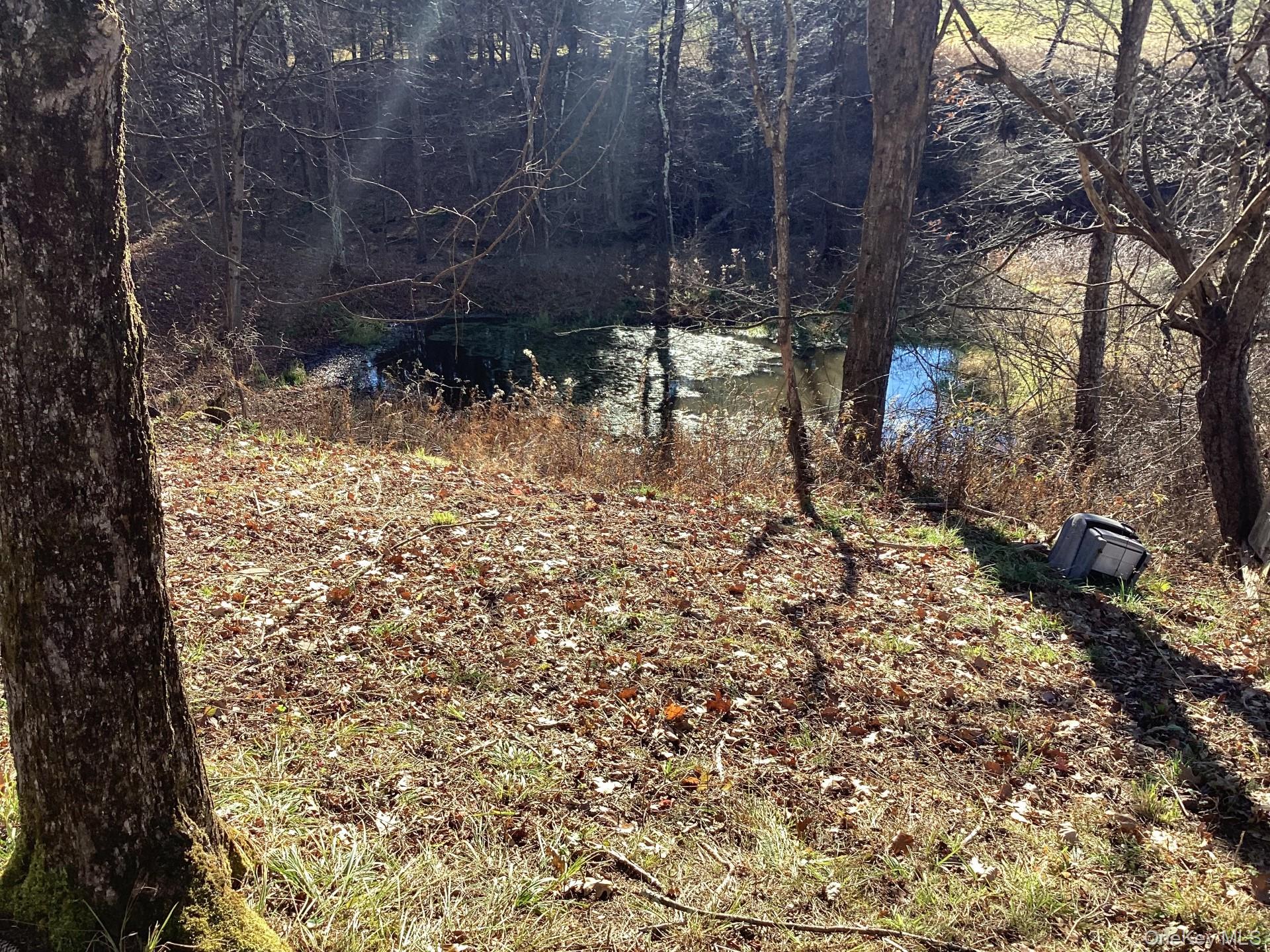 463 County Road 131, Callicoon, NY 12723