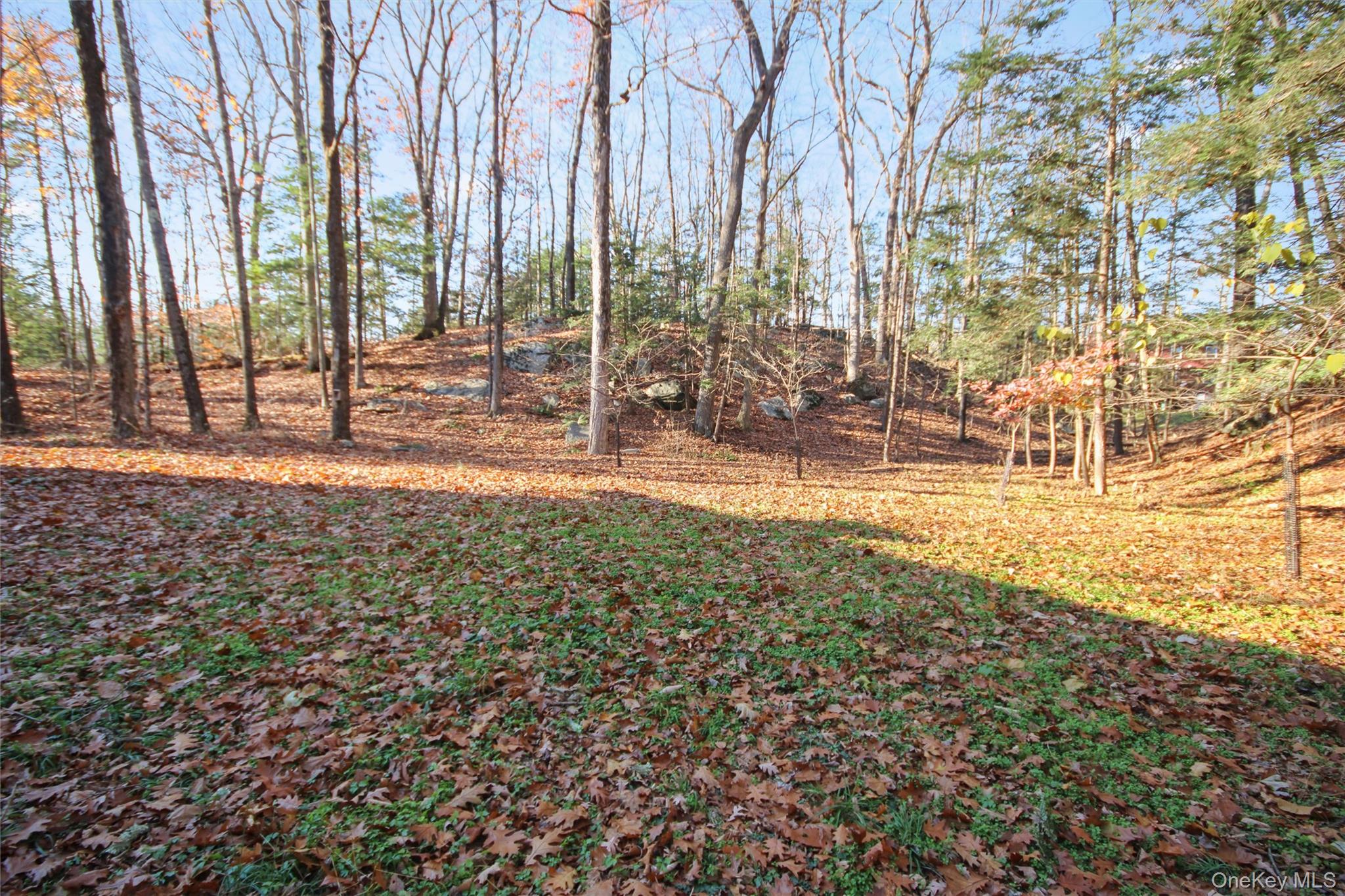 5 Van Court, Hyde Park, NY 12538