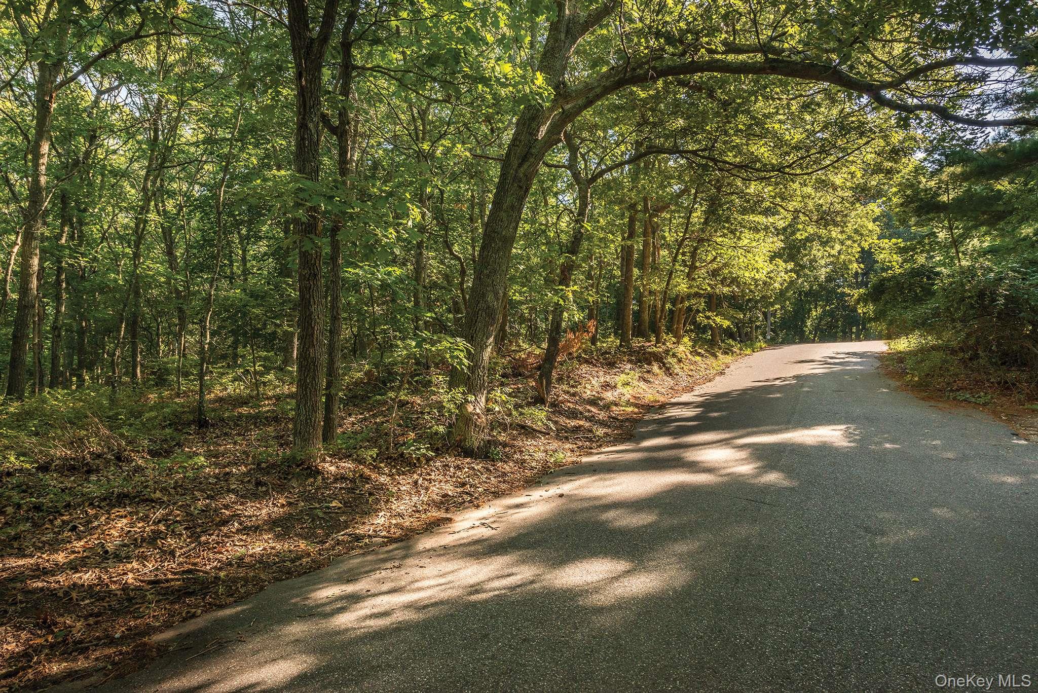 27 Woodbine Place, Southampton, NY 11968