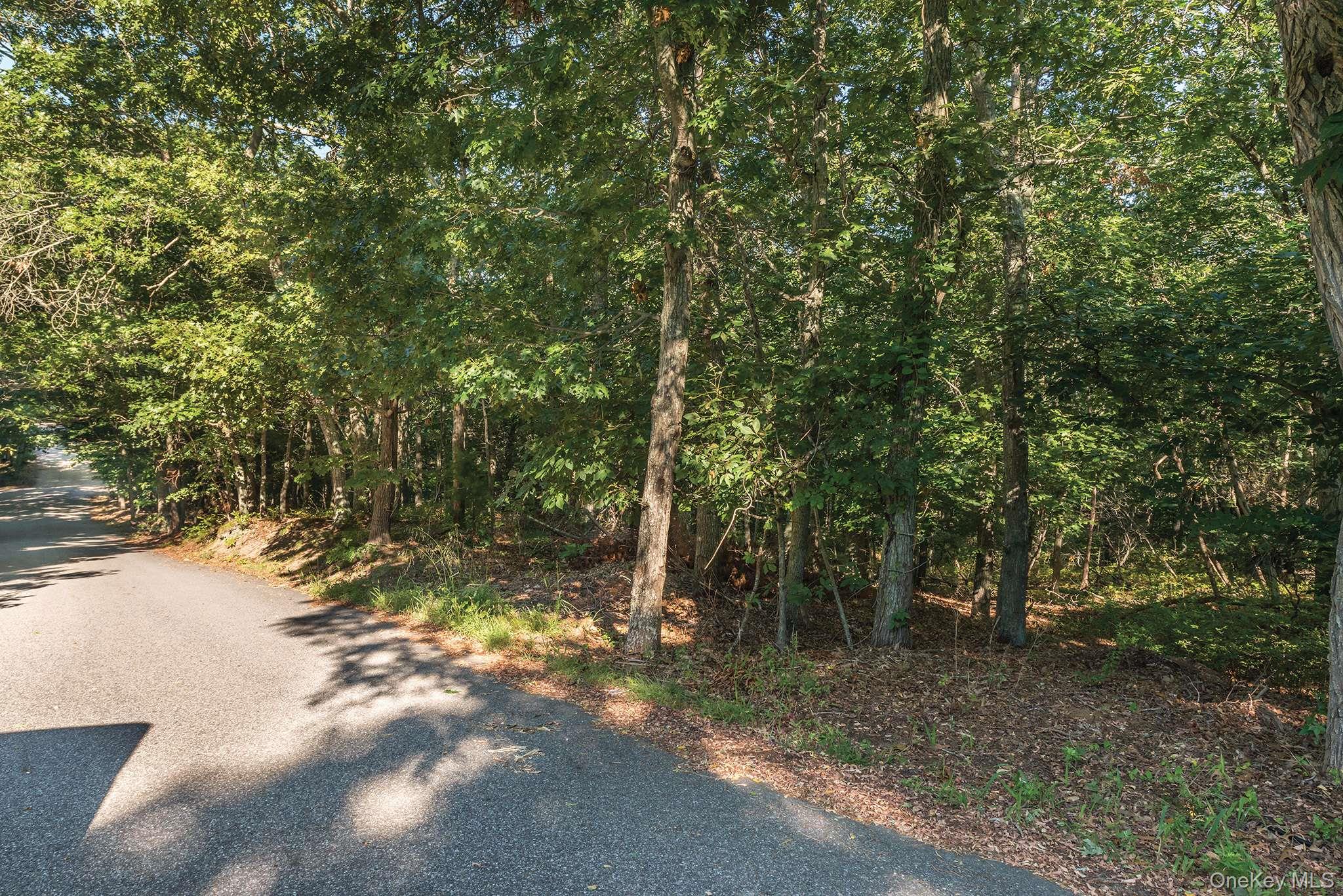 27 Woodbine Place, Southampton, NY 11968