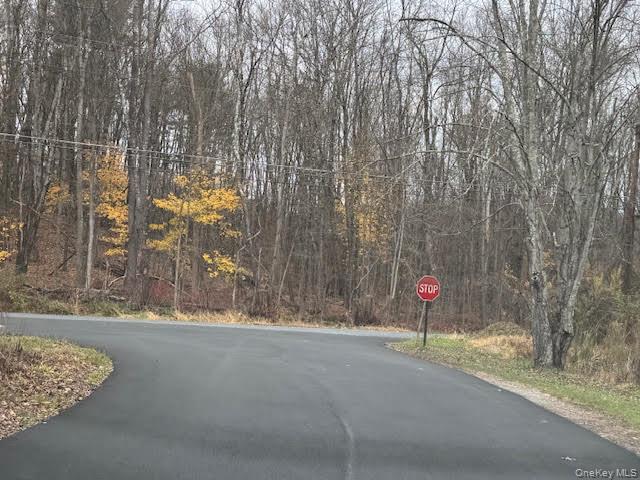 138 Round Hill Road, Walden, NY 12586