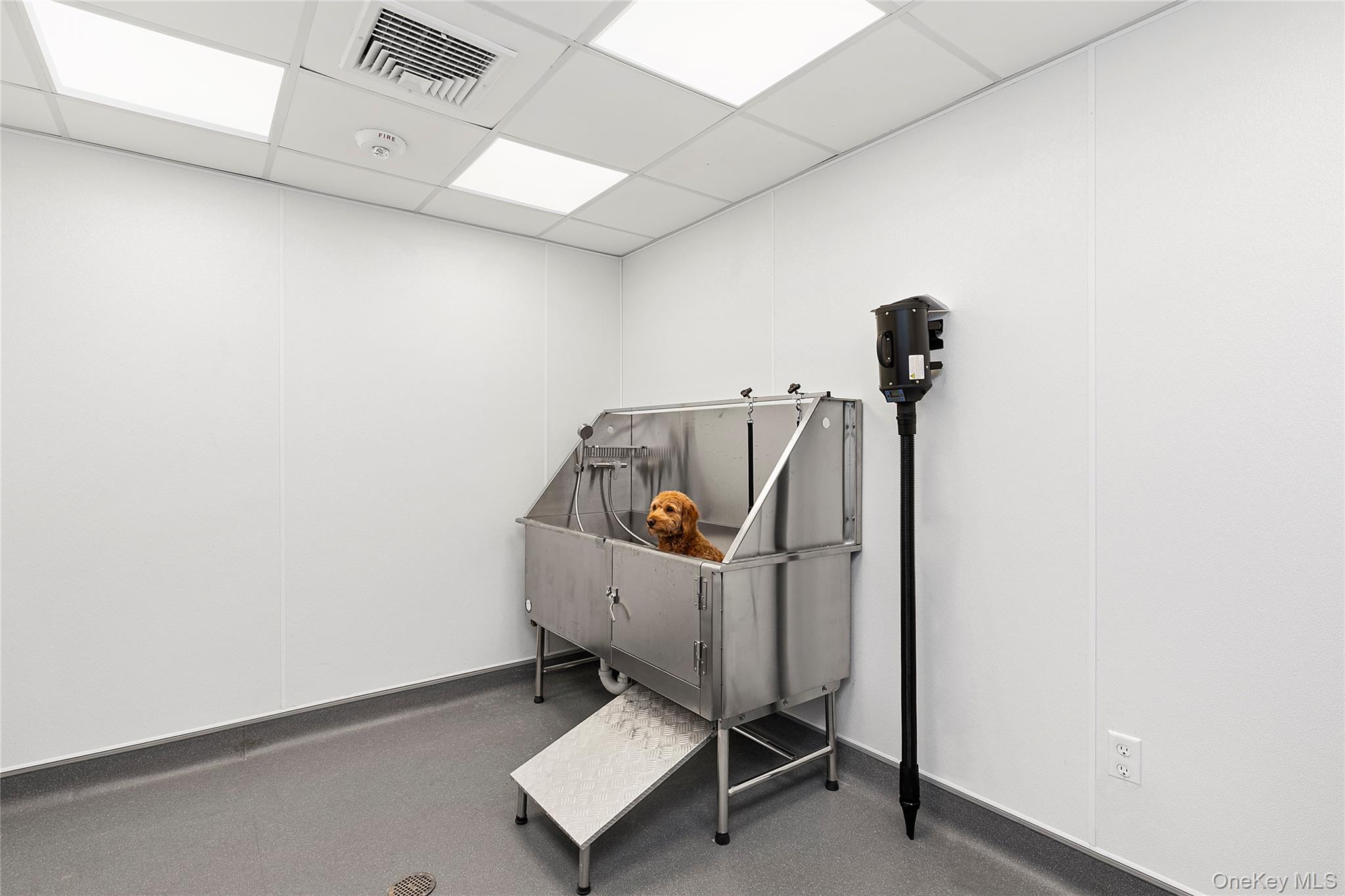 695 Merrick Avenue # 332, Westbury, NY 11590