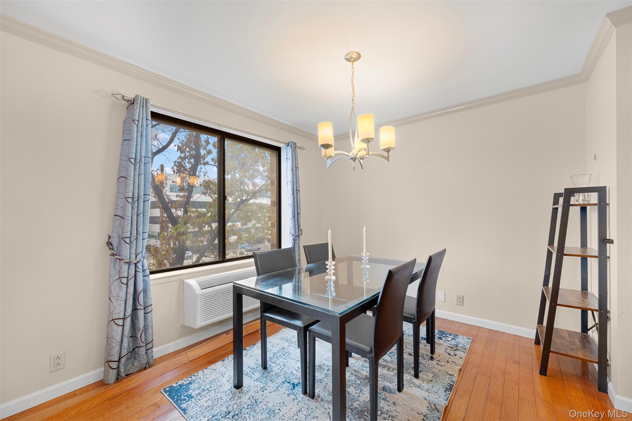 141 Great Neck Road # 2G, Great Neck, NY 11021