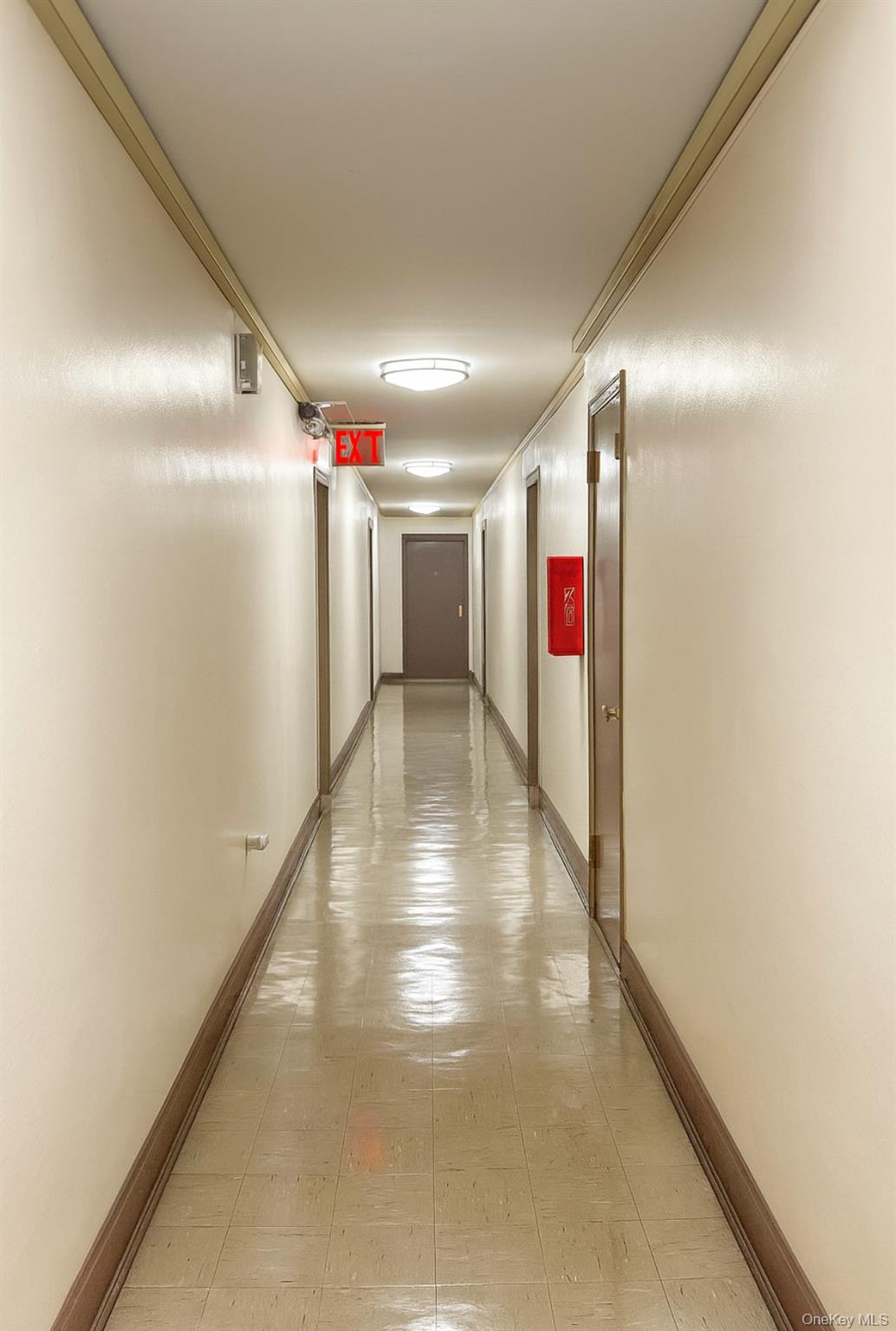 86-04 Grand Avenue # 2D, Elmhurst, NY 11373