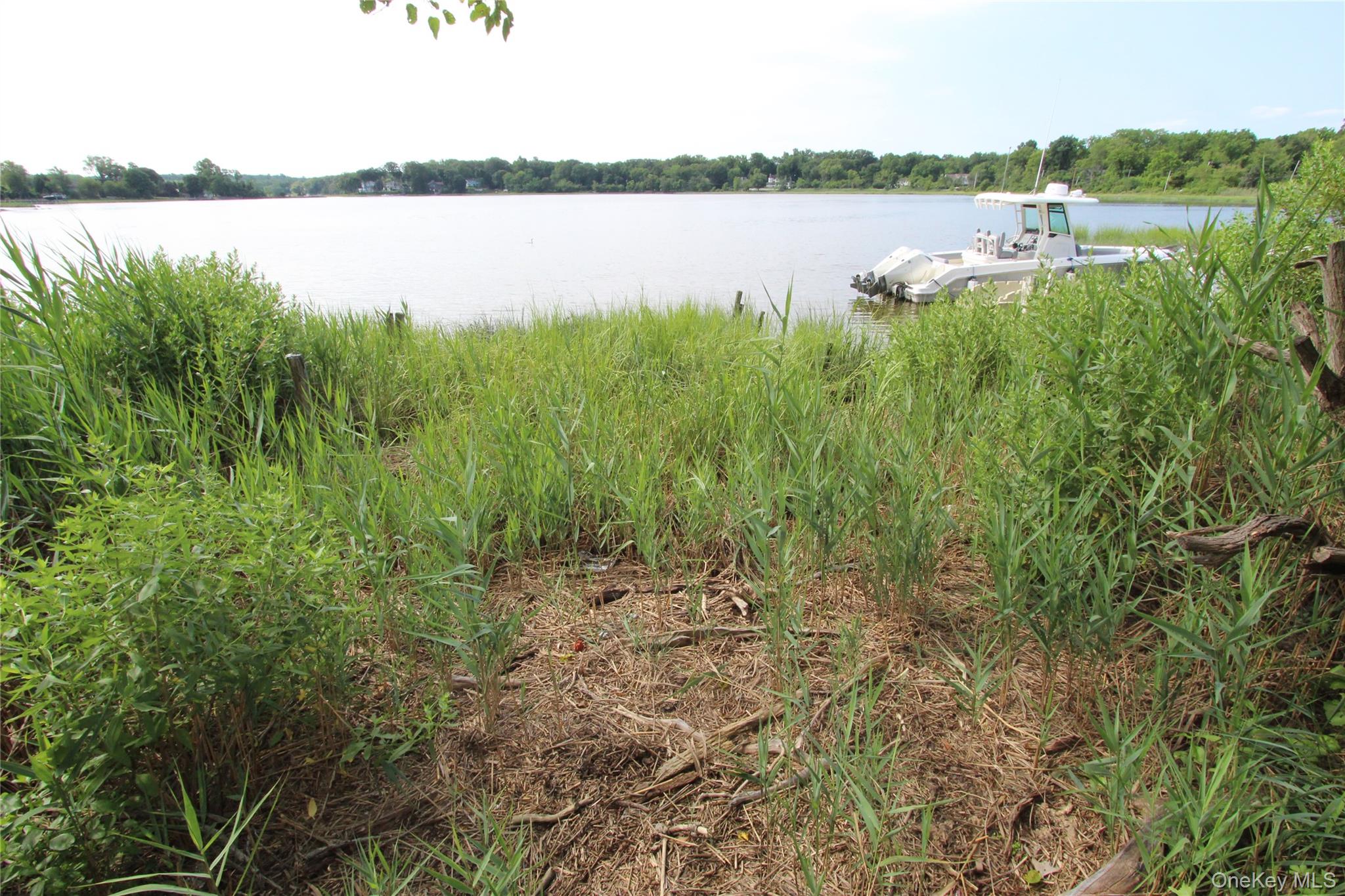 59 Dyke Road, East Setauket, NY 11733