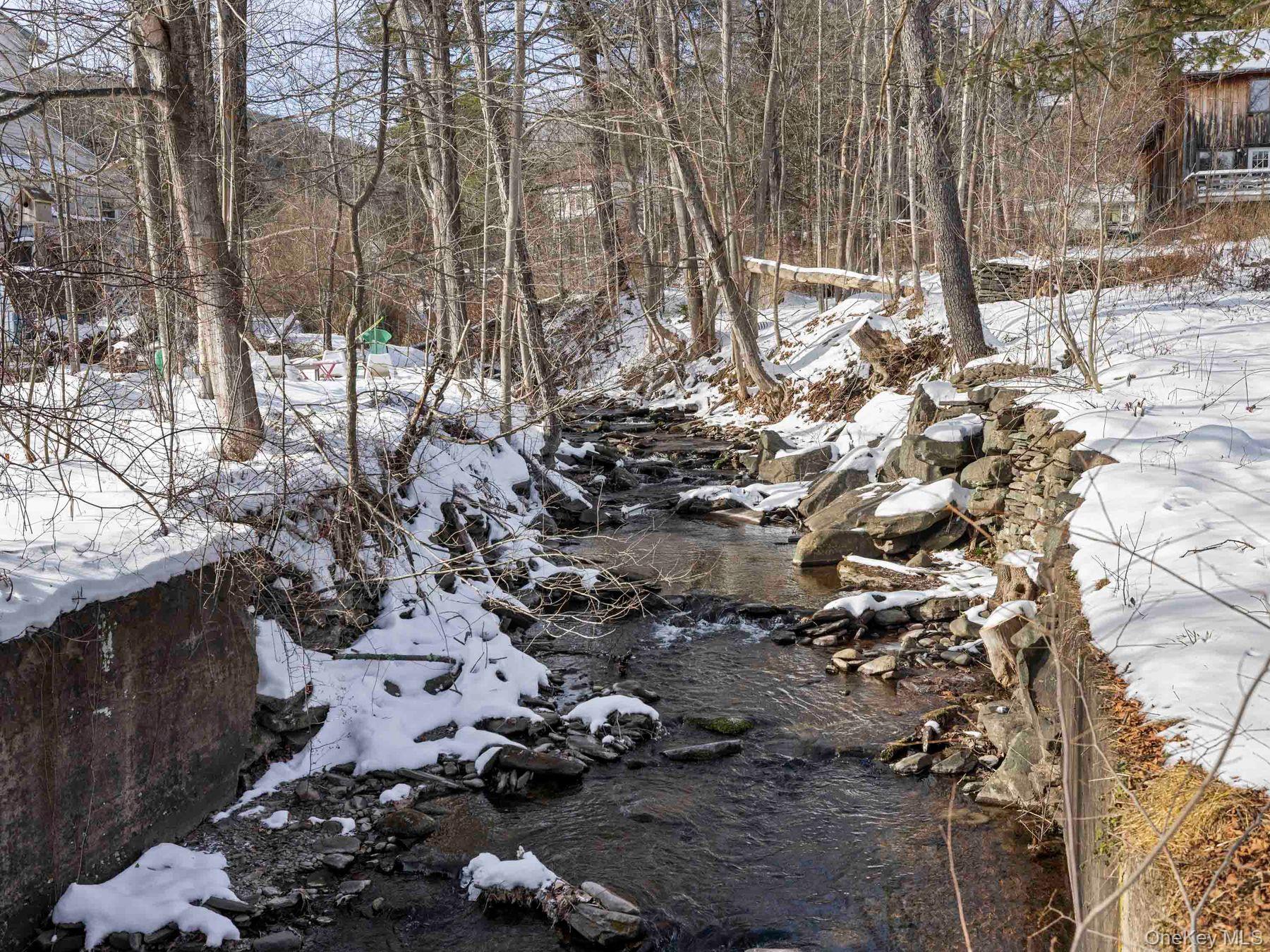 38 Elm Street, Shandaken, NY 12465