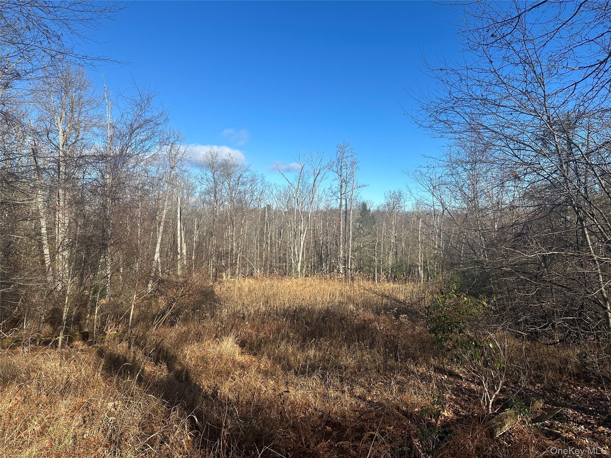 Oak Ridge, Ellenville, NY 12428