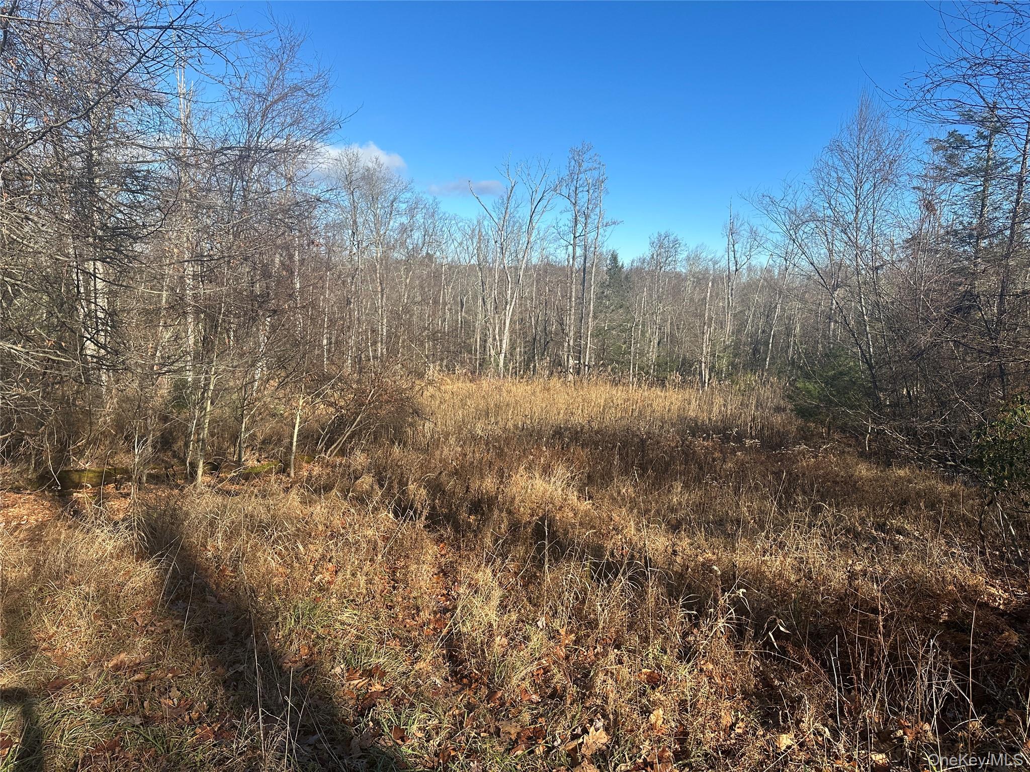 Oak Ridge, Ellenville, NY 12428