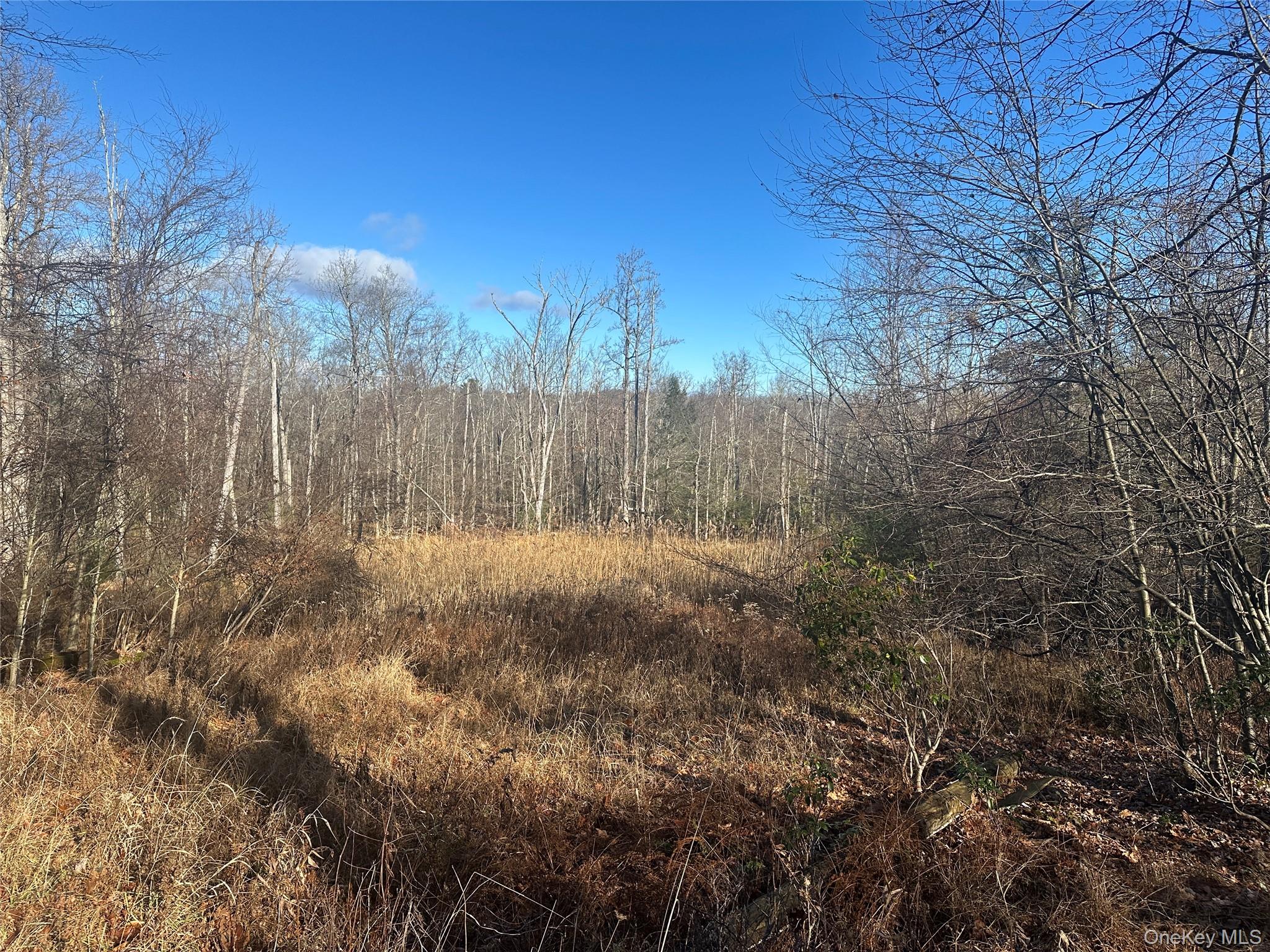 Oak Ridge, Ellenville, NY 12428