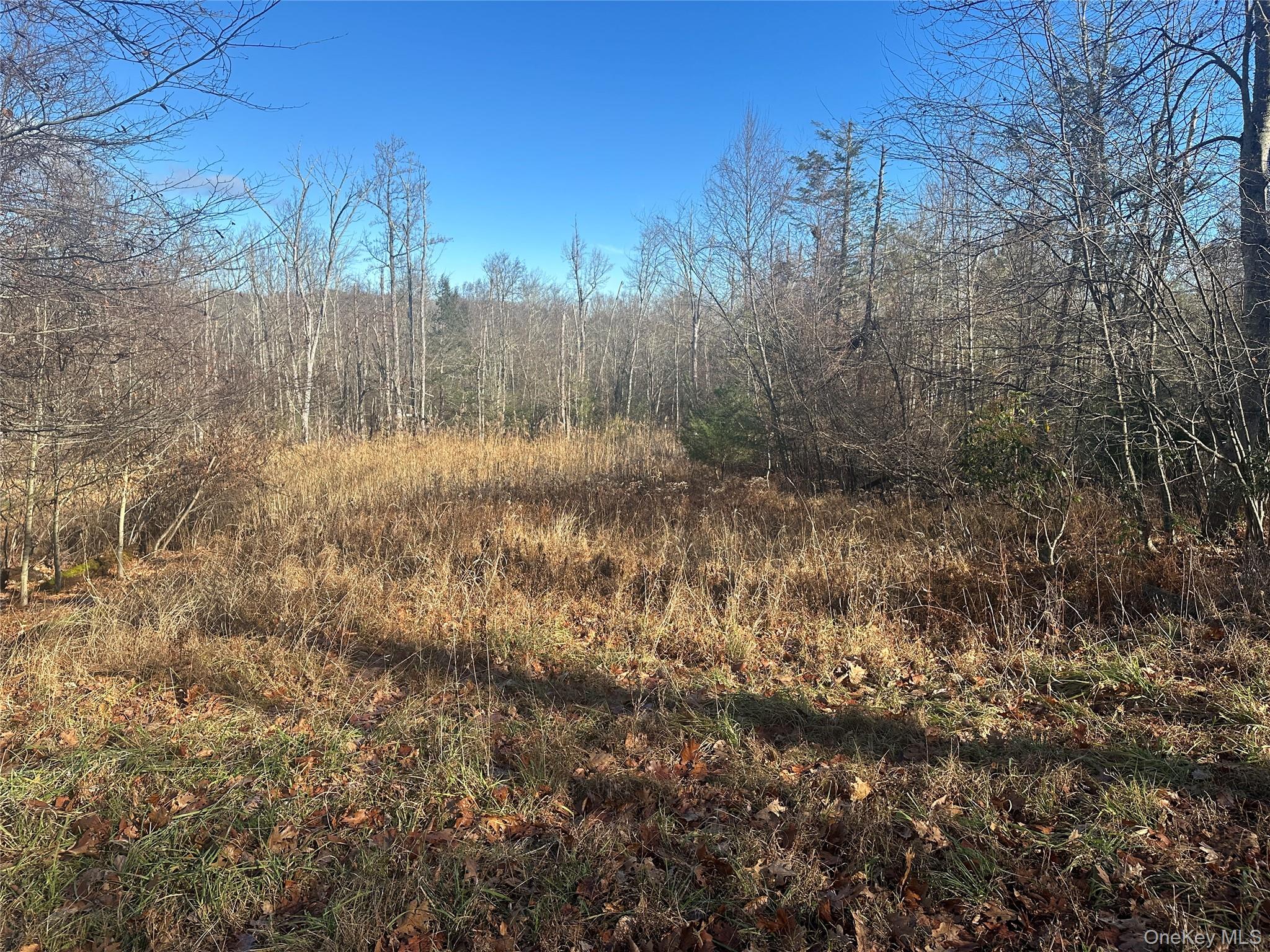 Oak Ridge, Ellenville, NY 12428