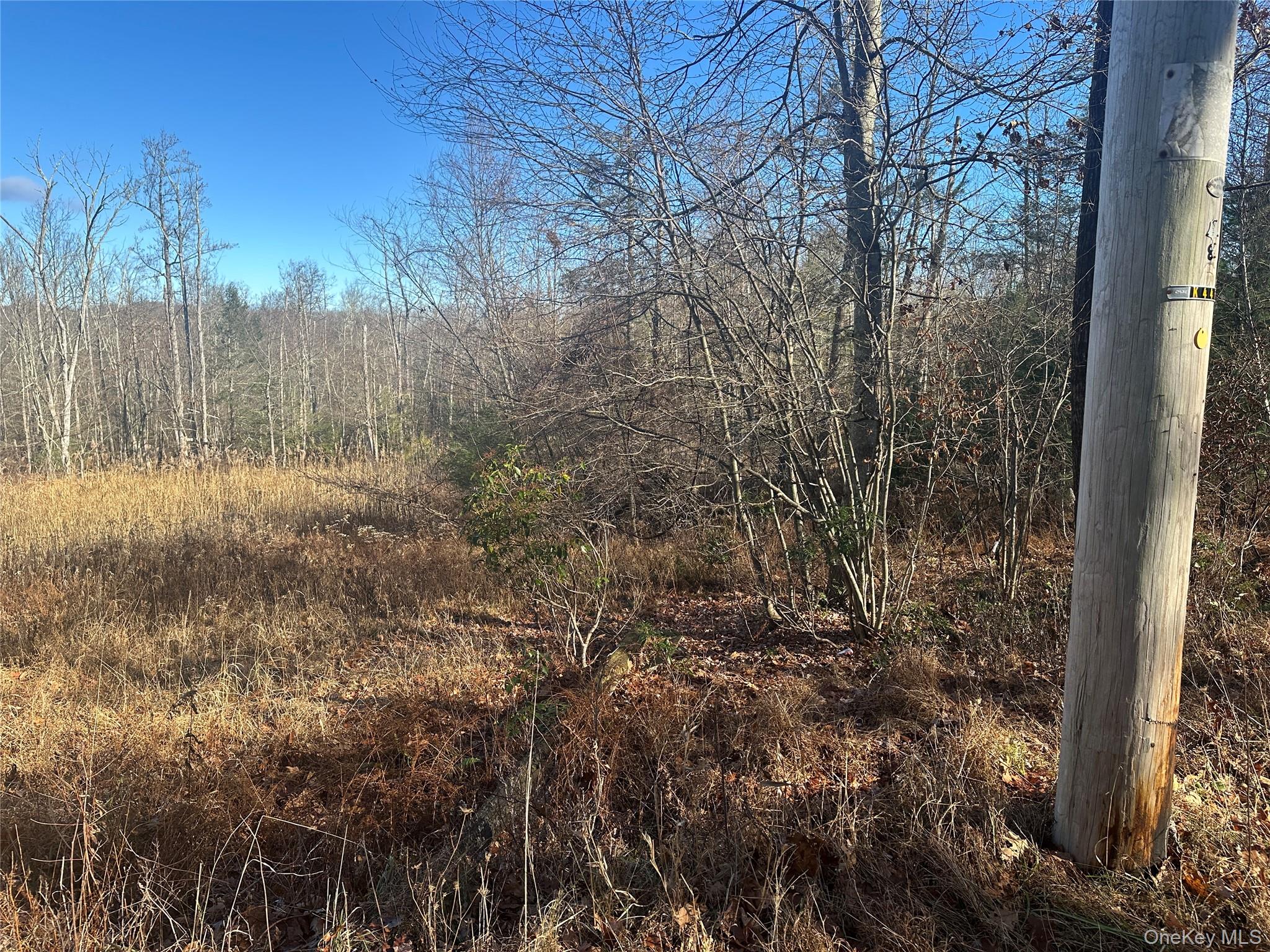 Oak Ridge, Ellenville, NY 12428