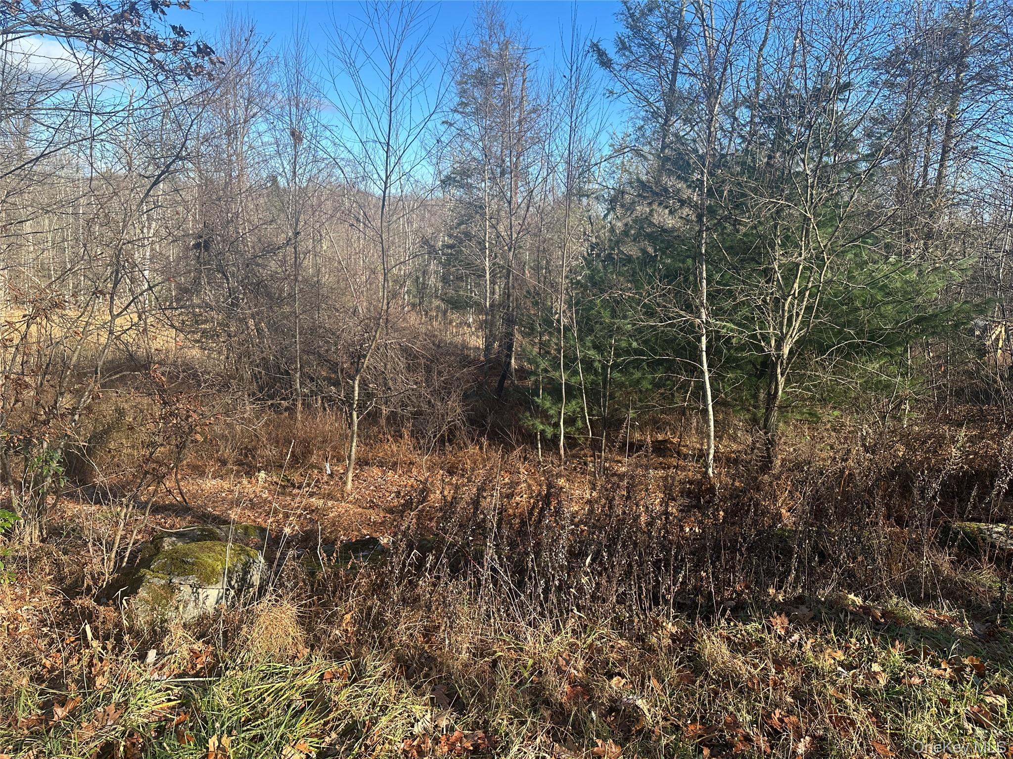 Oak Ridge, Ellenville, NY 12428