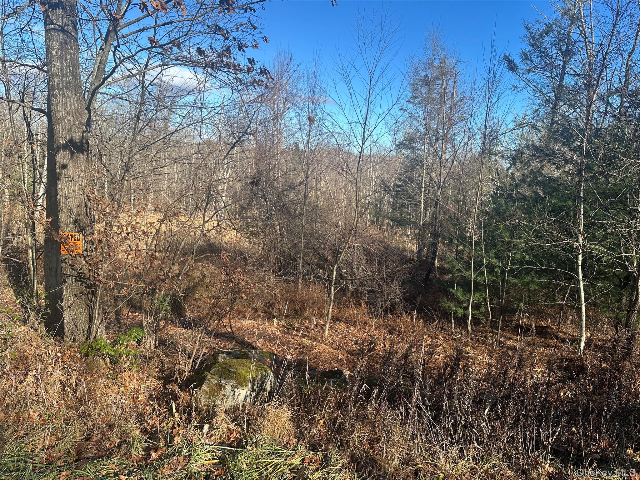 Oak Ridge, Ellenville, NY 12428