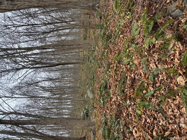 82 Wiccopee Road, Putnam Valley, NY 10579