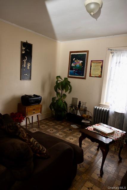 19 Frederick Avenue, Elmont, NY 11003