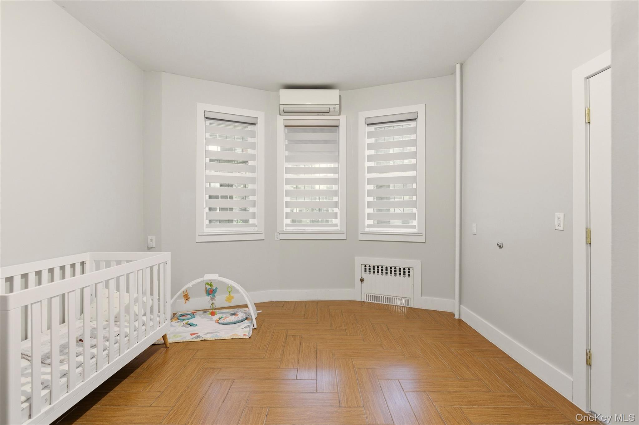 1316 43rd Street, Brooklyn, NY 11219