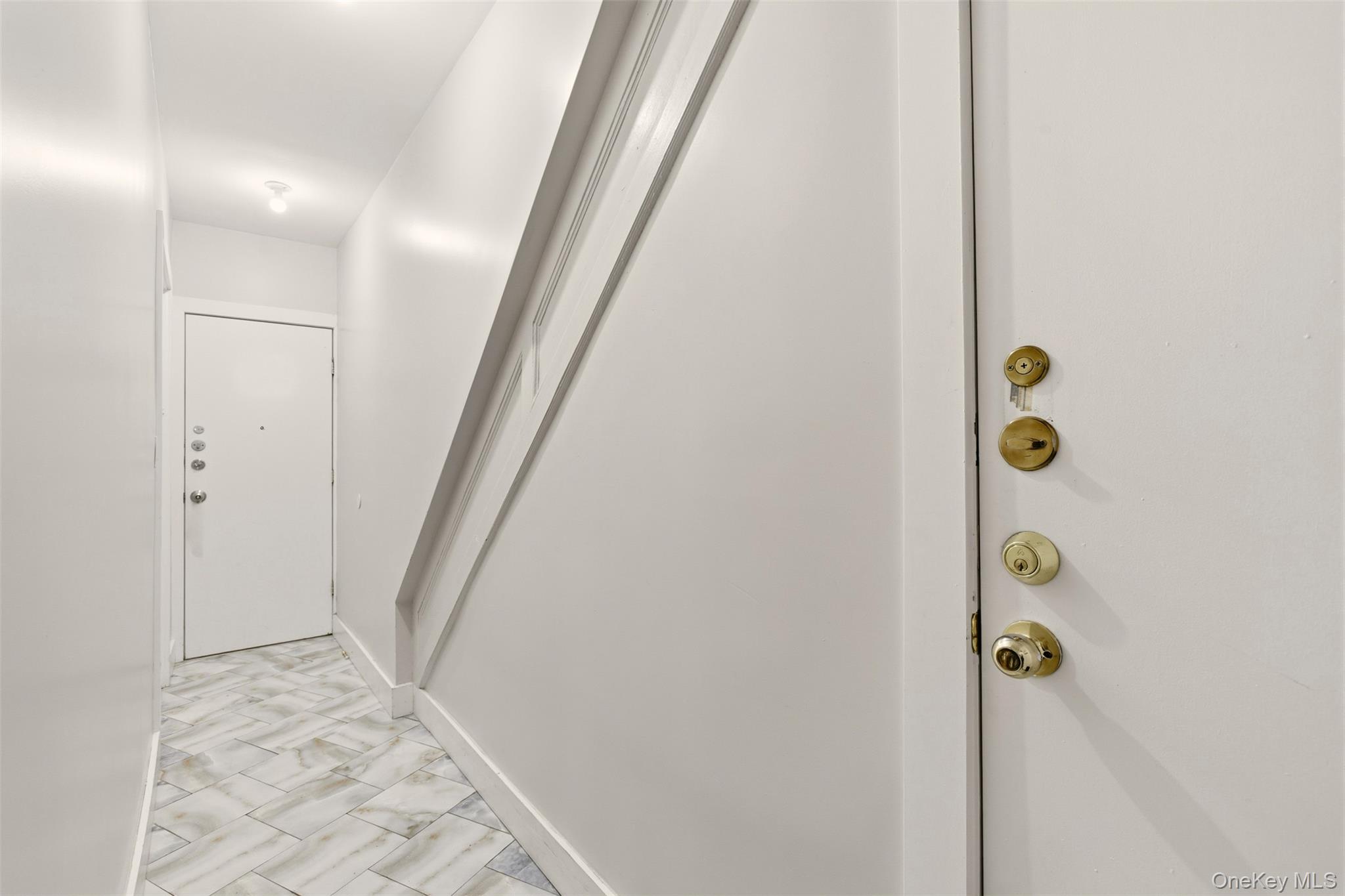 1316 43rd Street, Brooklyn, NY 11219