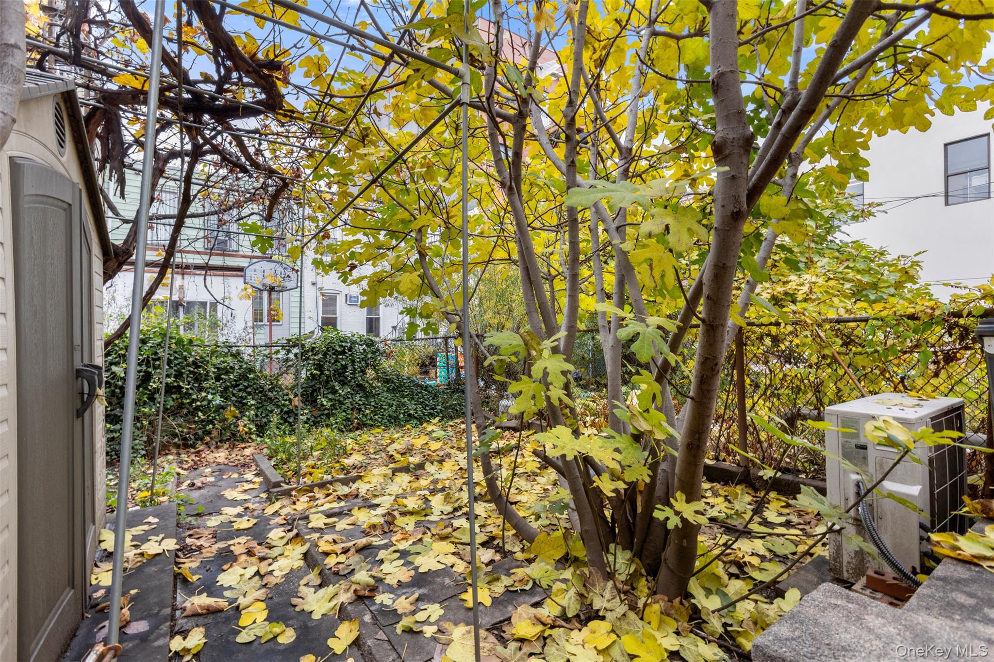 1316 43rd Street, Brooklyn, NY 11219