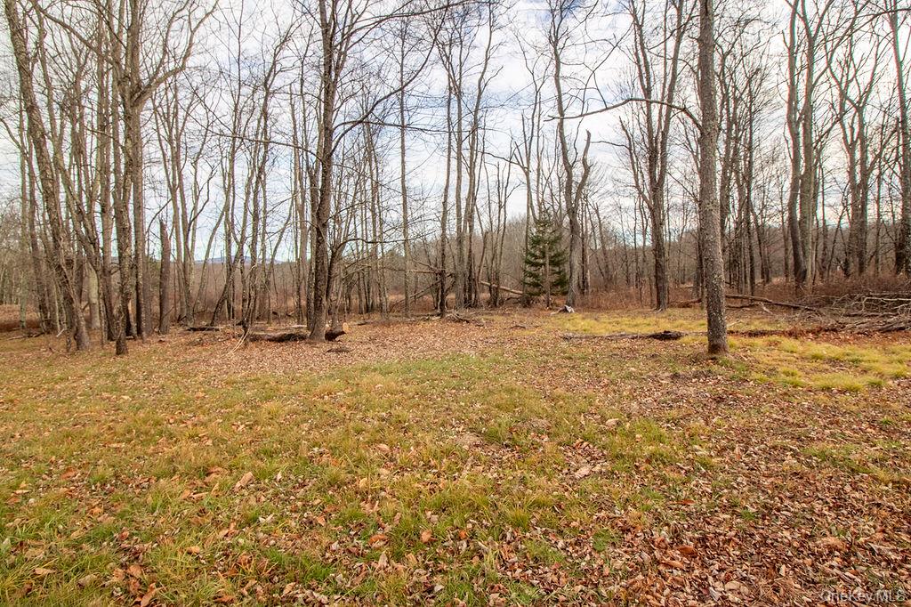 1732 Ulster Heights Road, Ellenville, NY 12428