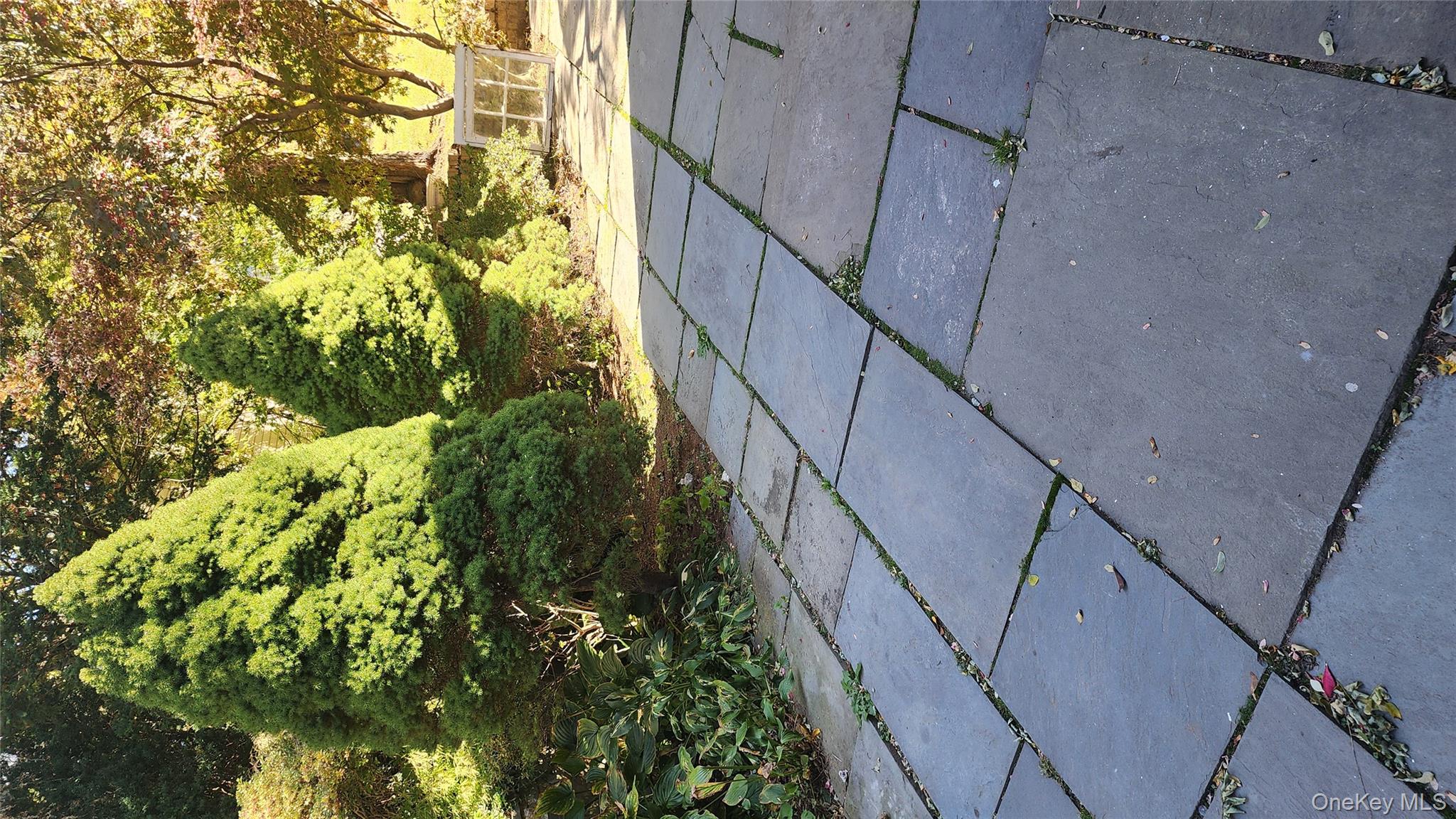 22 Beach Street # 1, White Plains, NY 10604