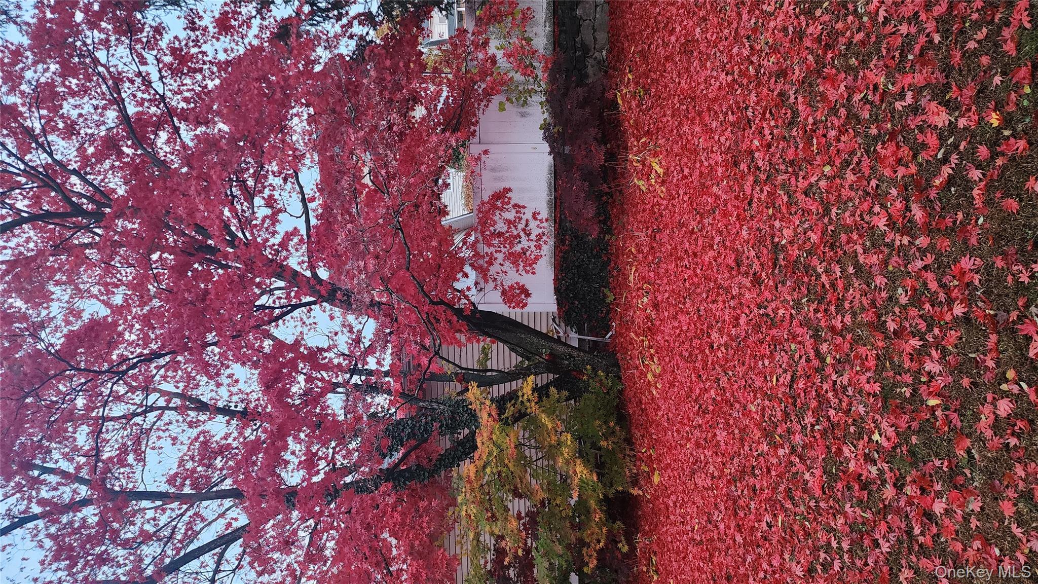 22 Beach Street # 1, White Plains, NY 10604