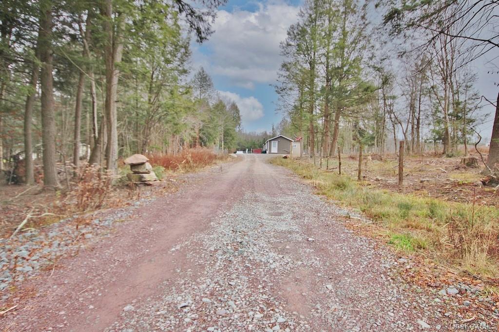 703 Dahlia Road, Livingston Manor, NY 12758