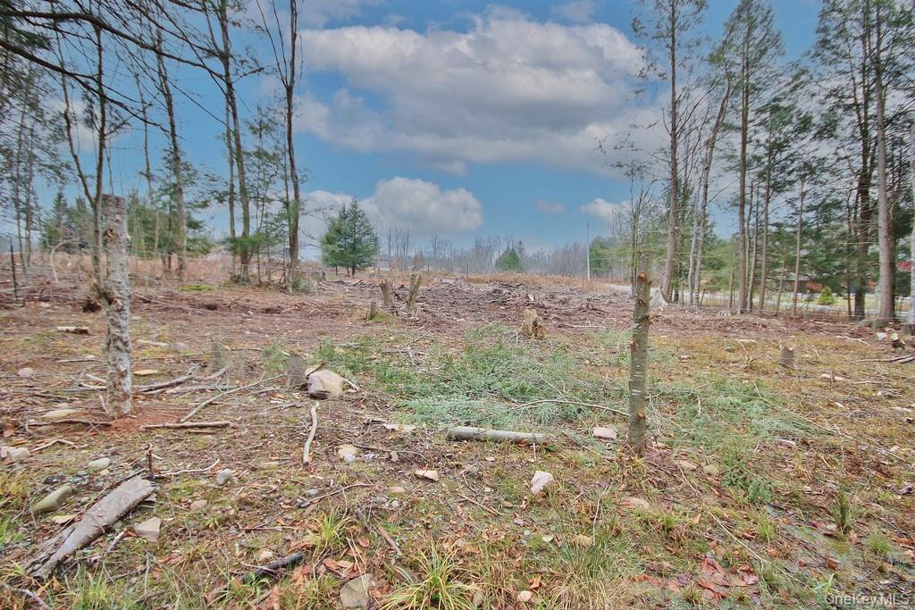 703 Dahlia Road, Livingston Manor, NY 12758