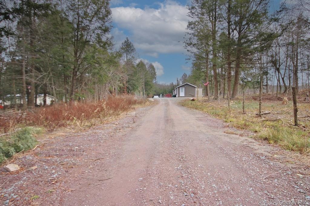 703 Dahlia Road, Livingston Manor, NY 12758