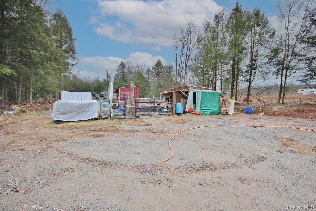 703 Dahlia Road, Livingston Manor, NY 12758