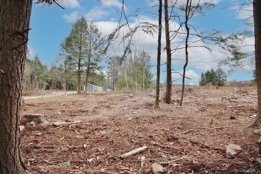 703 Dahlia Road, Livingston Manor, NY 12758