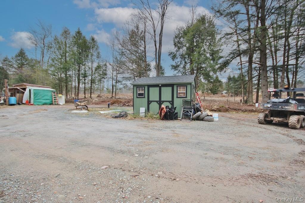 703 Dahlia Road, Livingston Manor, NY 12758