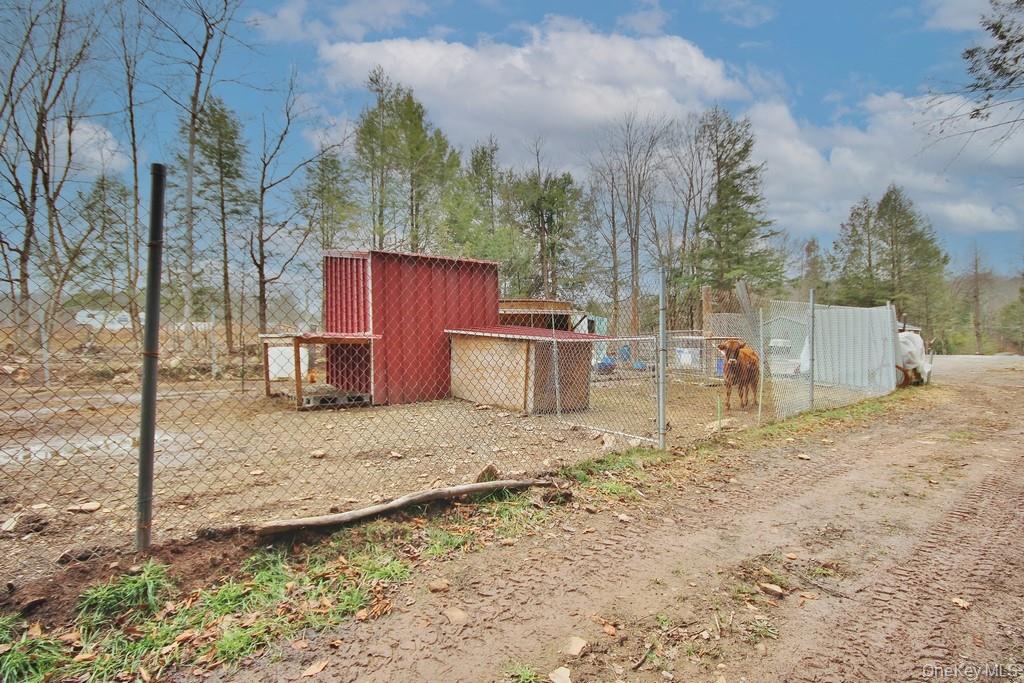 703 Dahlia Road, Livingston Manor, NY 12758