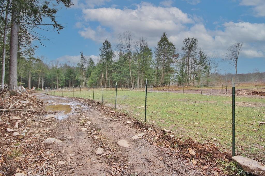 703 Dahlia Road, Livingston Manor, NY 12758