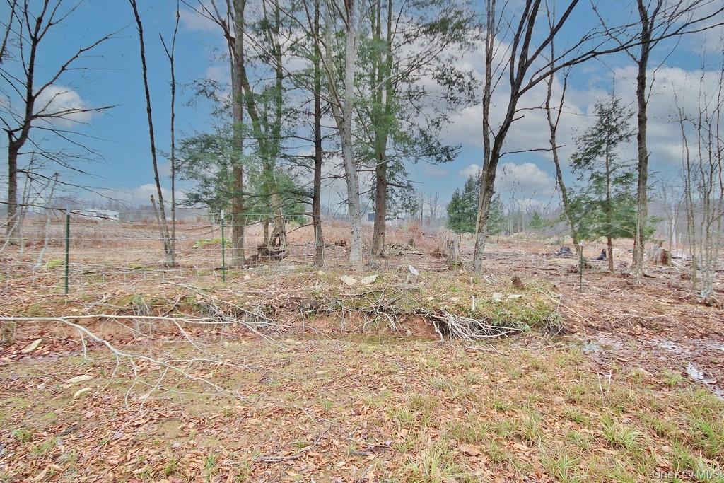 703 Dahlia Road, Livingston Manor, NY 12758