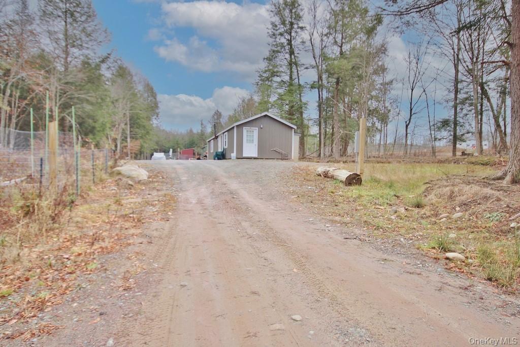 703 Dahlia Road, Livingston Manor, NY 12758