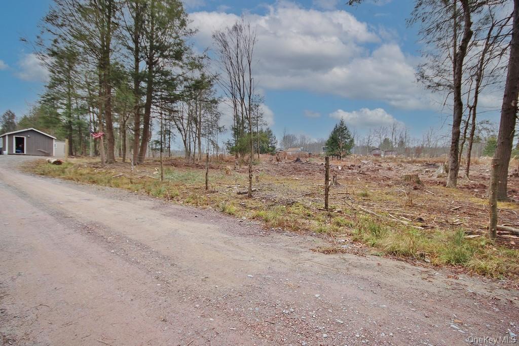 703 Dahlia Road, Livingston Manor, NY 12758