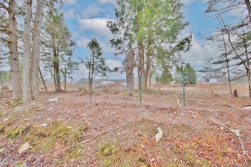 703 Dahlia Road, Livingston Manor, NY 12758