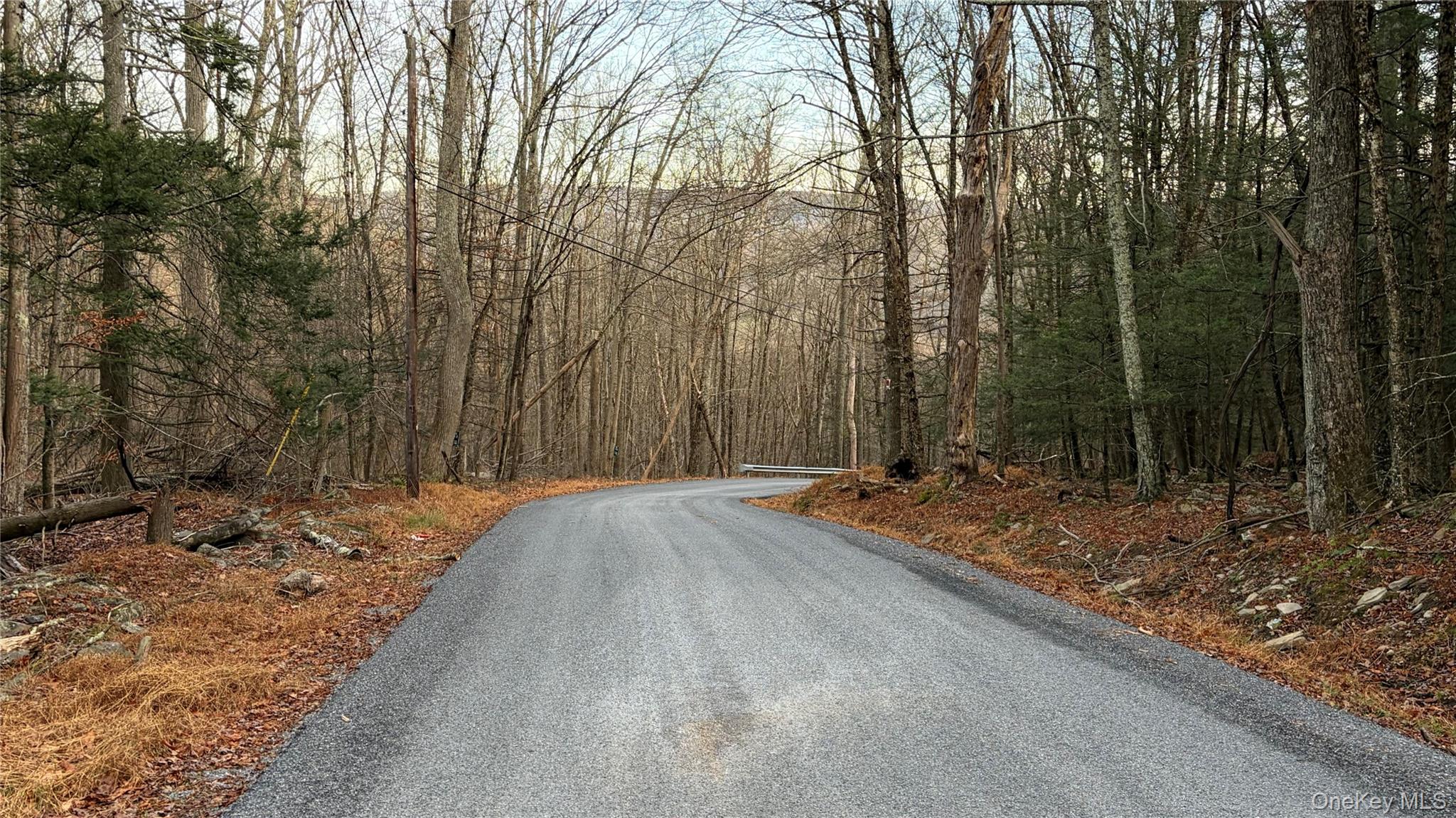 X Aldrich Road, Wurtsboro, NY 12790