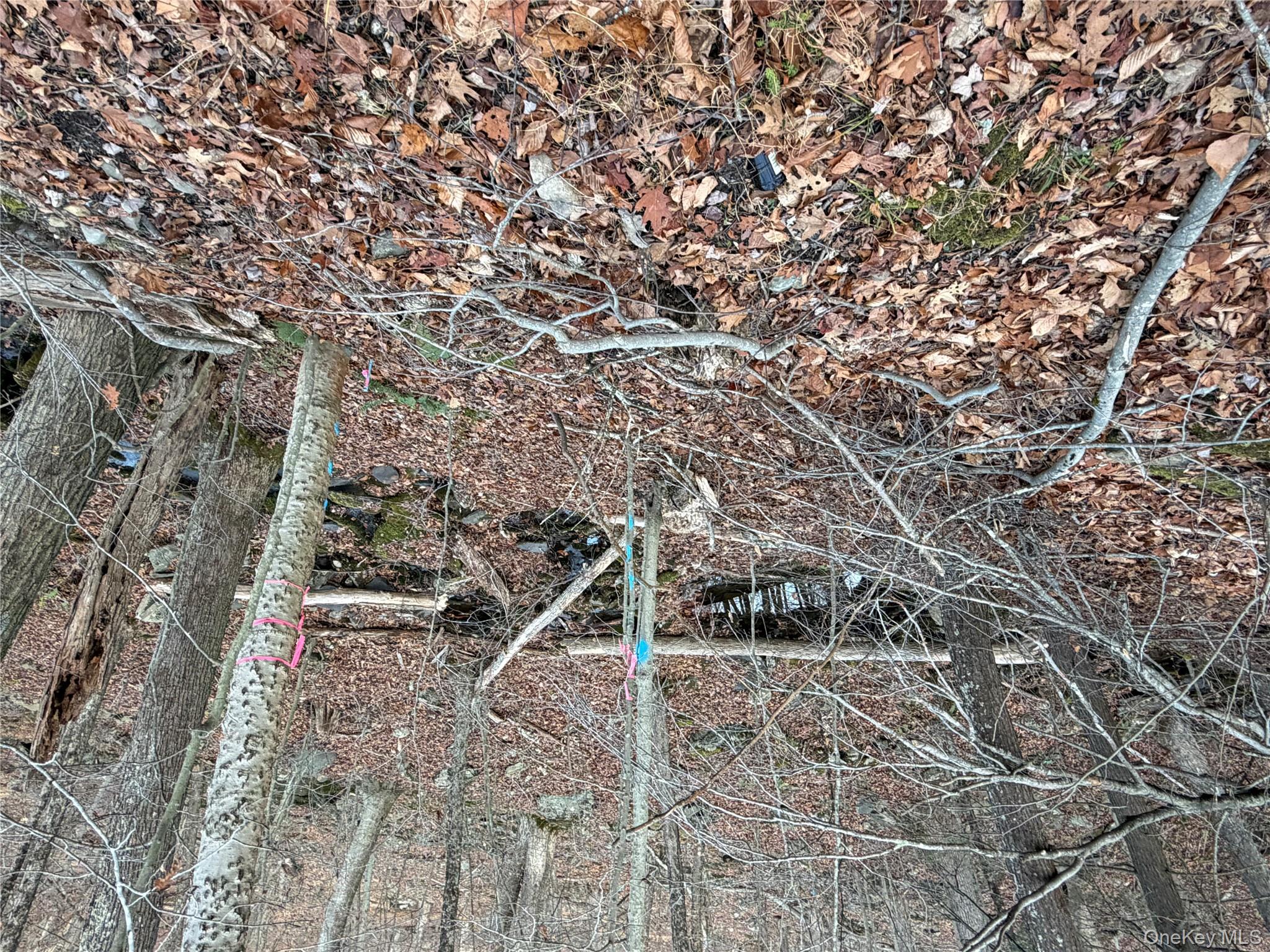 X Aldrich Road, Wurtsboro, NY 12790