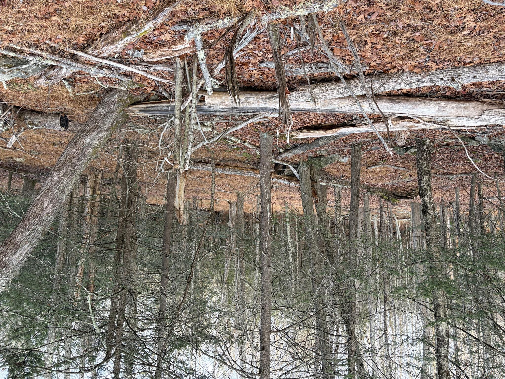 X Aldrich Road, Wurtsboro, NY 12790