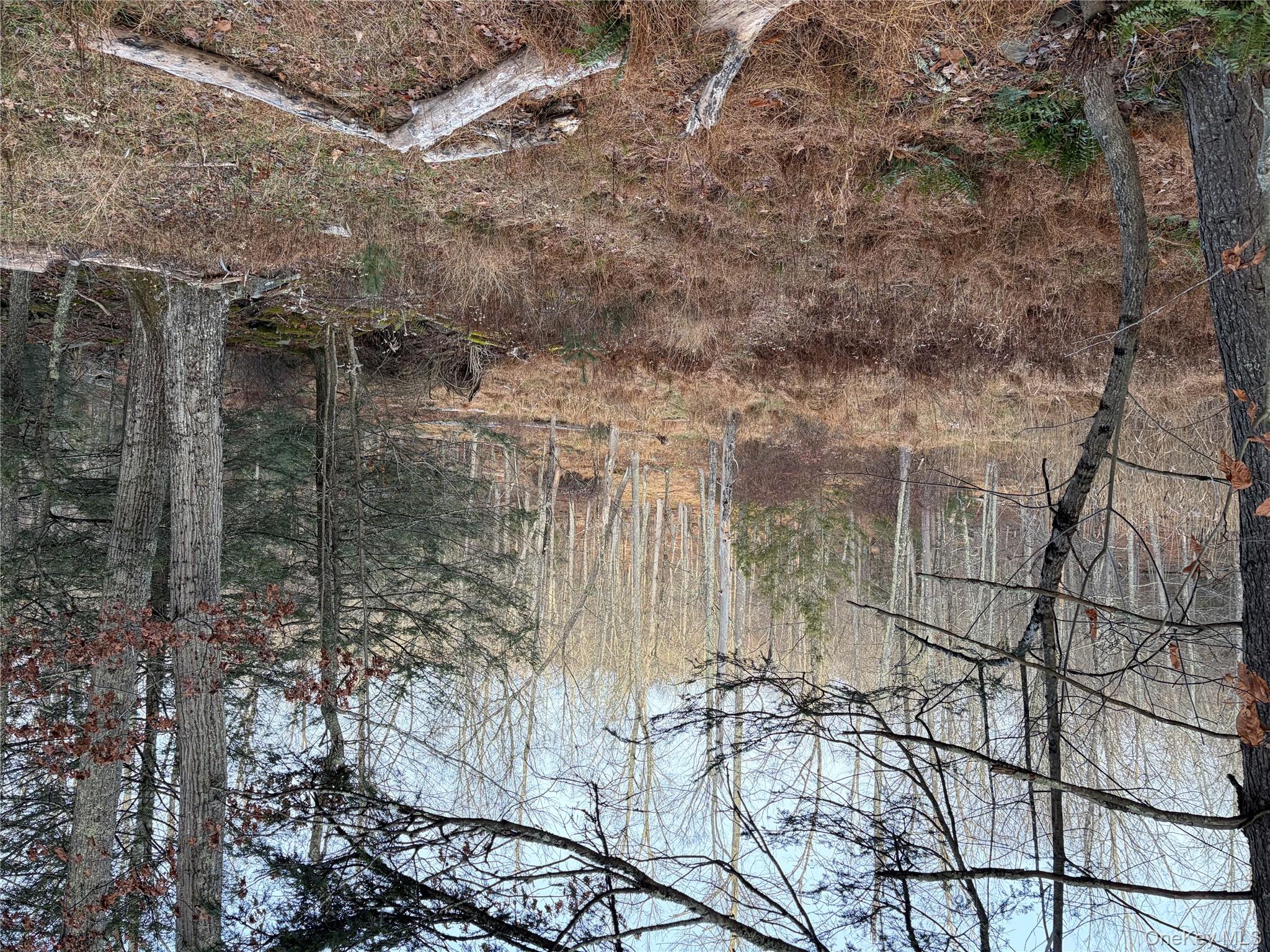 X Aldrich Road, Wurtsboro, NY 12790