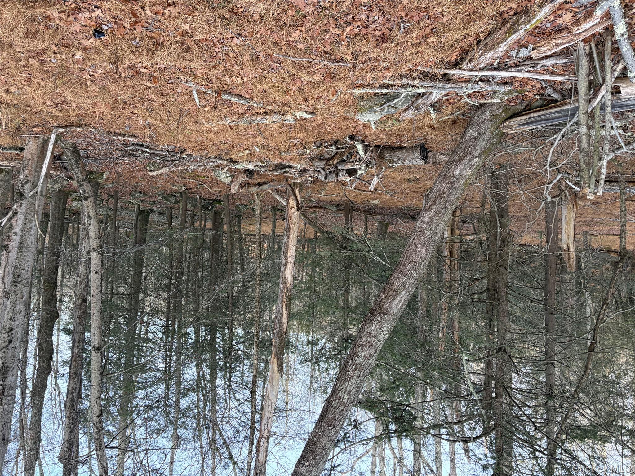 X Aldrich Road, Wurtsboro, NY 12790