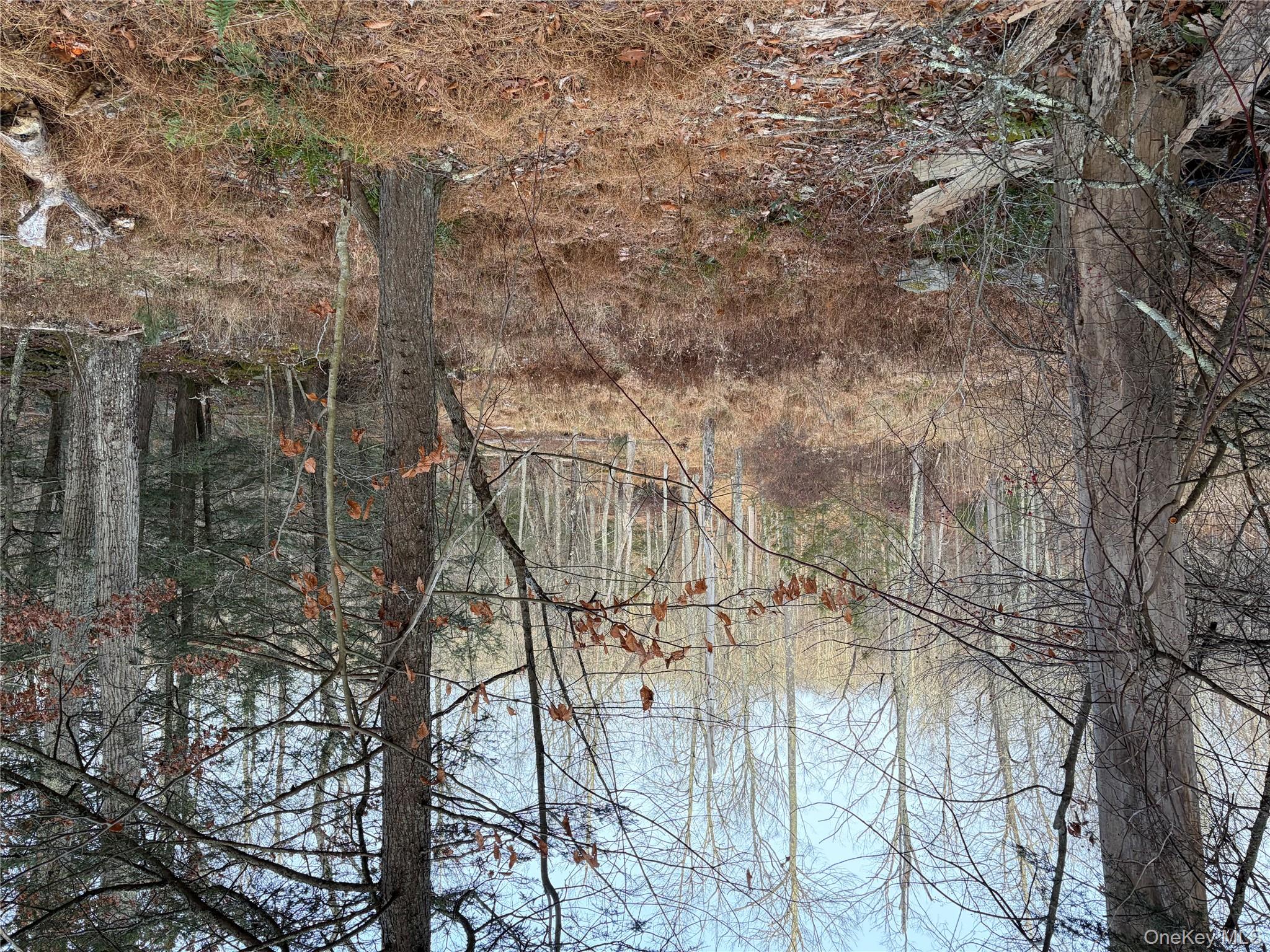 X Aldrich Road, Wurtsboro, NY 12790